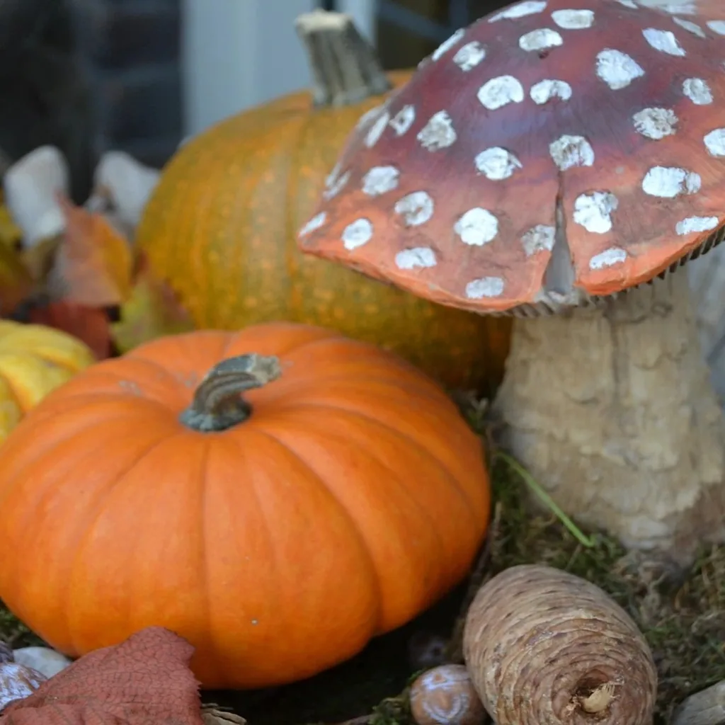 Herbstliche Dekoration mit Kürbissen und Pilzarrangements für die Saisonkarte des Ristorante La Dolce Vita.